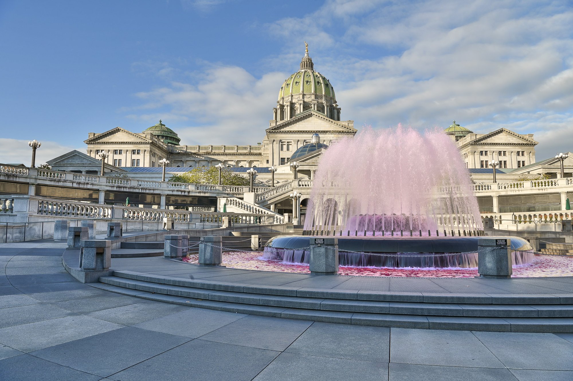 DT Firm 10 2025 web 01